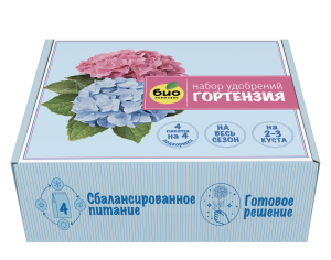 Гортензия-мокап-изометрия3