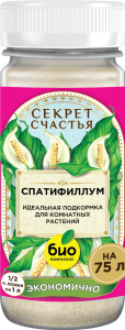 Mockup_Спатифиллум_01