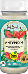 Mockup_Антариум_01