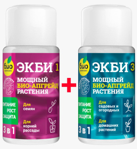 Изображение WhatsApp 2023-01-20 в 16.15.19