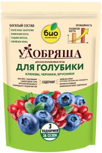 голубика