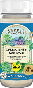 Mockup_Суккуленты_01