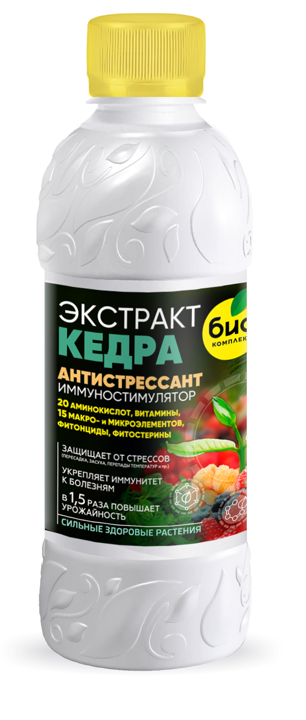 БИО-комплекс Экстракт Кедра