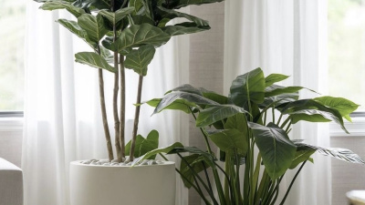 Защищаем комнатные растения