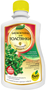 Толстянка_250 лицо Толстянка_250 лицо