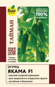 Огурец Якама F1