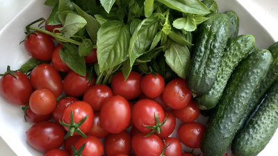 Как вырастить богатый урожай овощей: советы агронома и работающие решения от «БИО-комплекс»