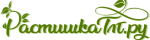 РастишкаТЛТ