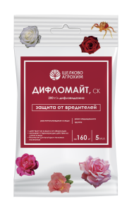 Дифломайт цветы