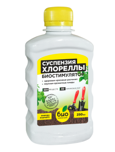 03 Хлорелла 250 ml 05.2022 дуга print бутылка перед
