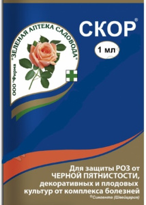 скор скор