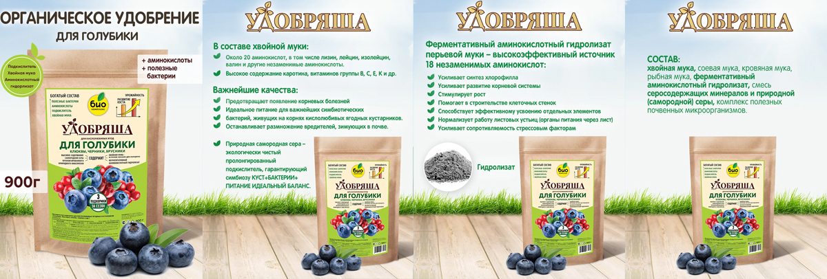 голубика.jpg