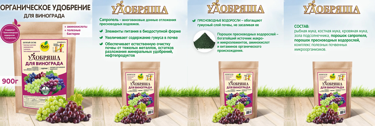виноград.jpg
