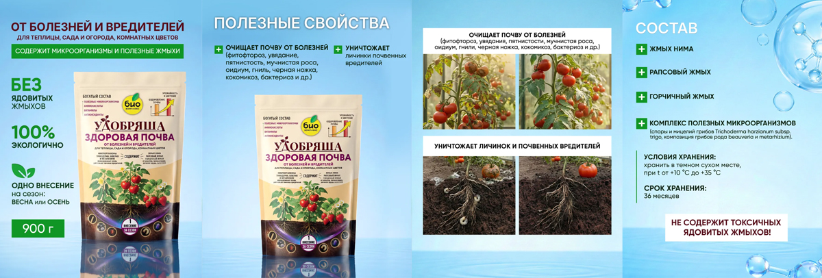почва.jpg
