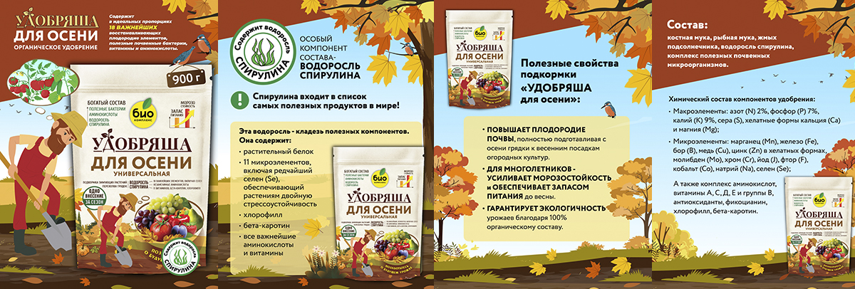 осень копия.jpg