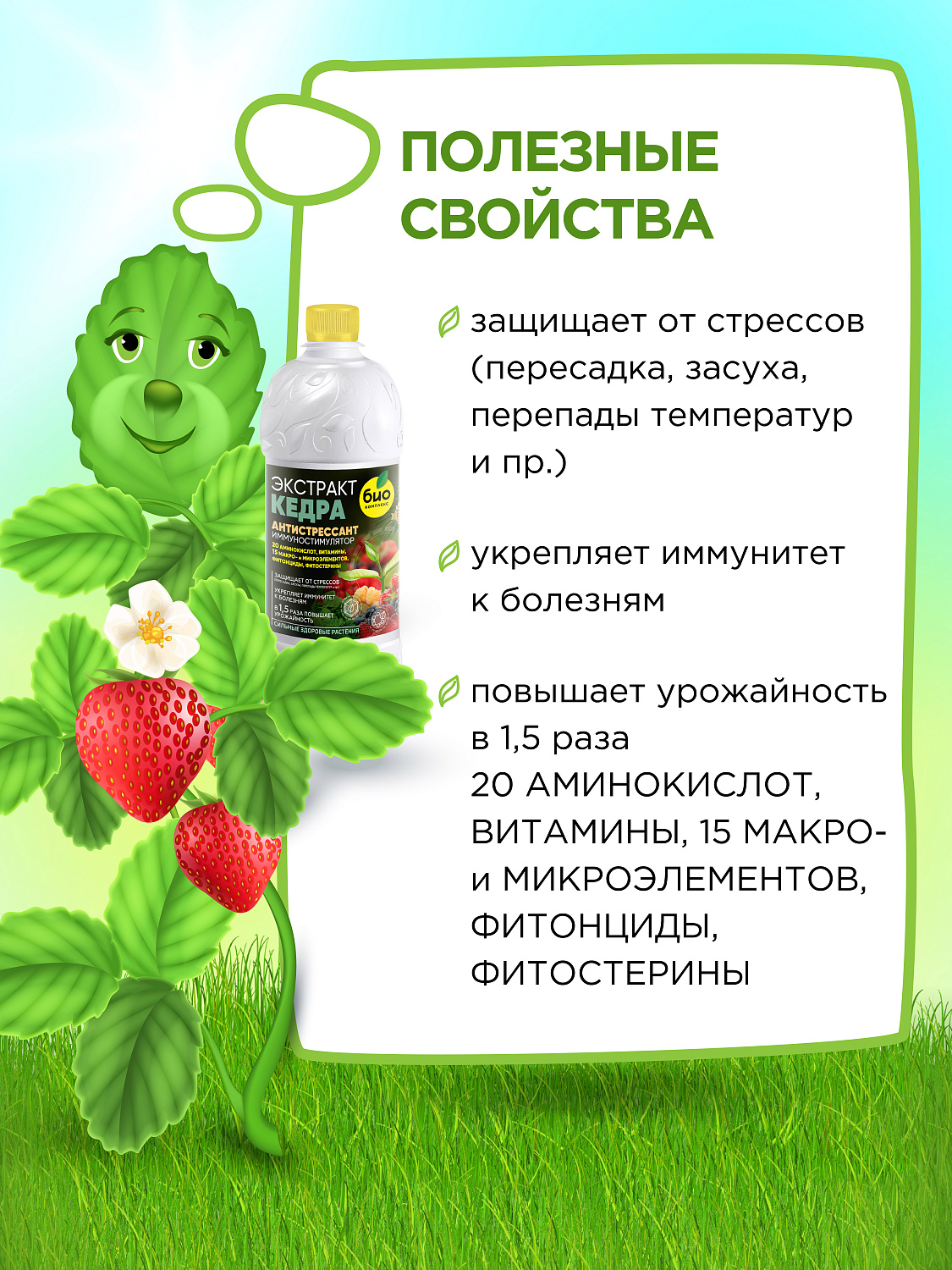 БИО-комплекс Экстракт Кедра