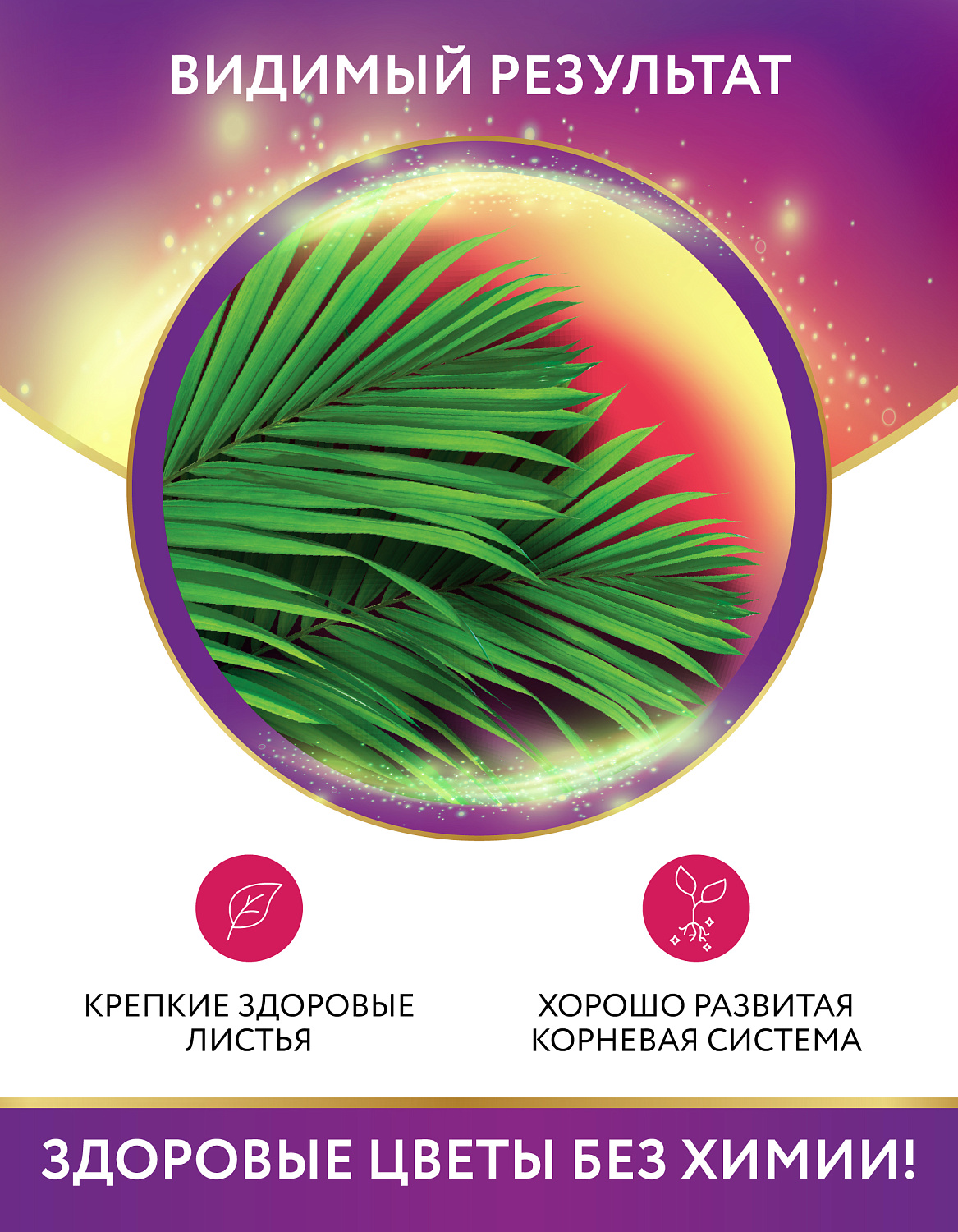 Биококтейль для пальмы, комнатный фэншуй ТМ HAPPY