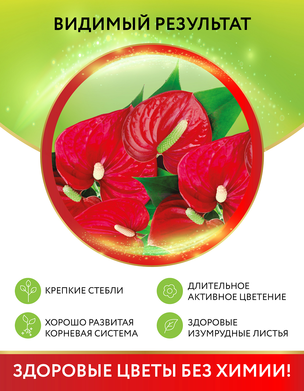 Биококтейль для антуриума, комнатный фэншуй ТМ HAPPY Биококтейль для антуриума, комнатный фэншуй ТМ HAPPY