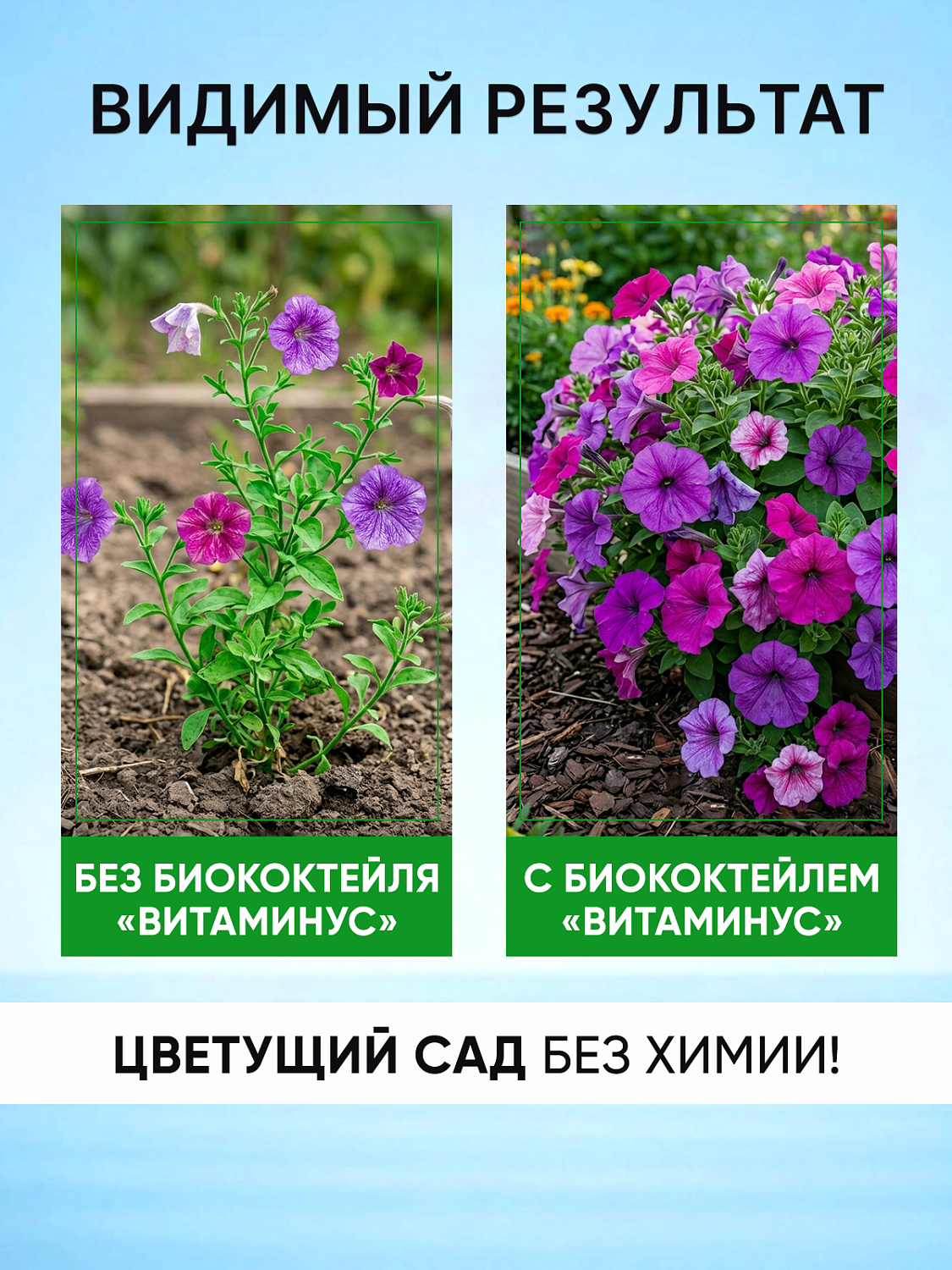 БИОкоктейль для петуний ТМ ВИТАМИНУС