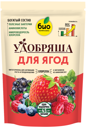 Ягоды_900г_без уголка