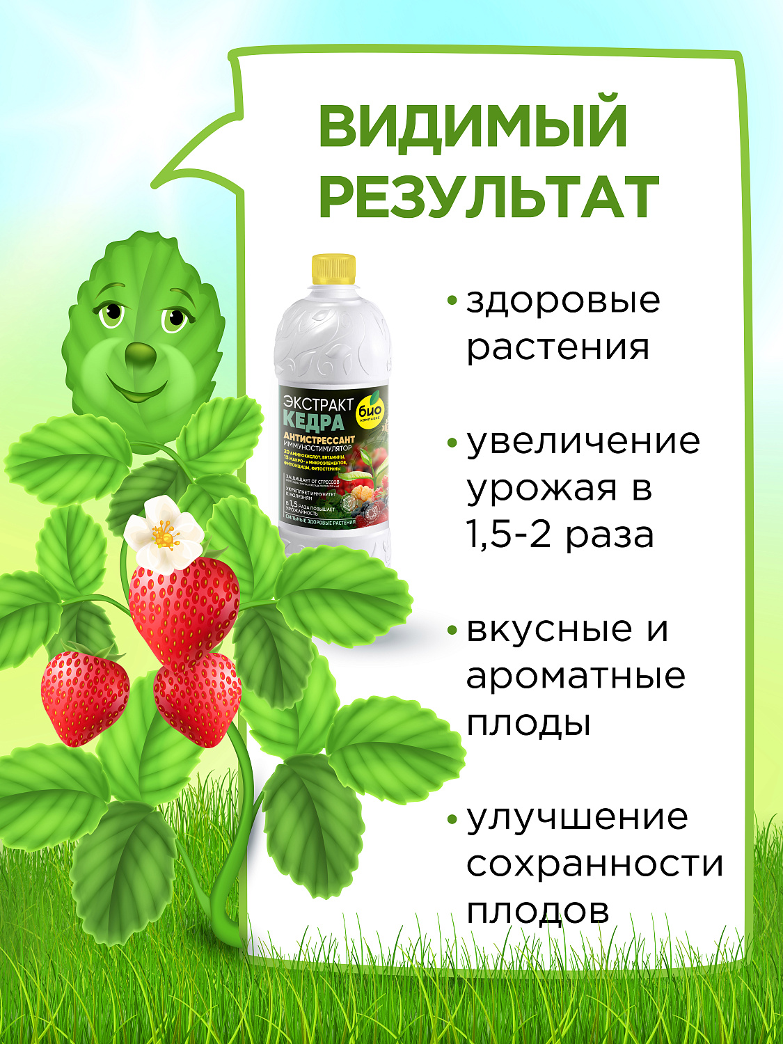 БИО-комплекс Экстракт Кедра