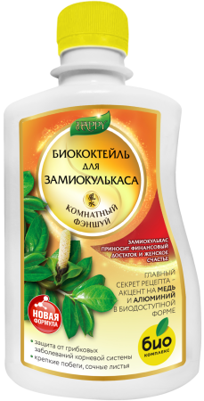 Замиокулькас_250 лицо
