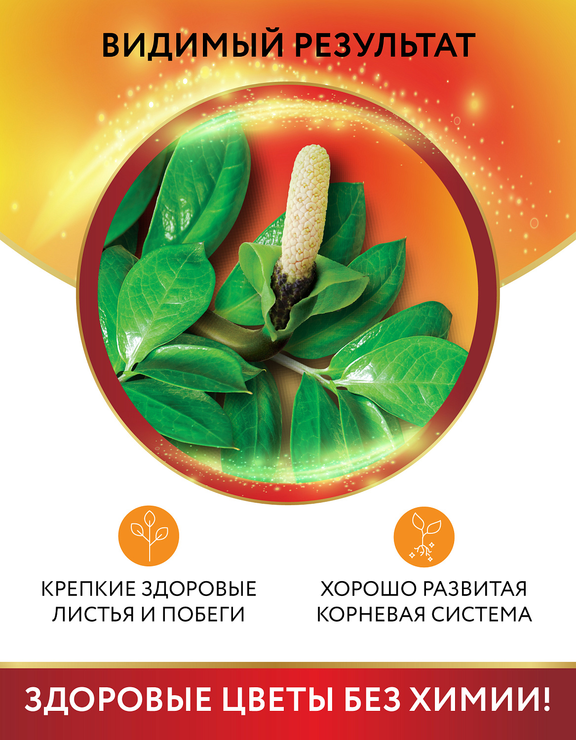 Биококтейль для замиокулькаса, комнатный фэншуй ТМ HAPPY Биококтейль для замиокулькаса, комнатный фэншуй ТМ HAPPY