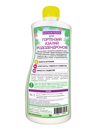 1800x2400-06.2022-гортензия-вид-оборот-01