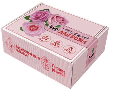 Роза-мокап-изометрия