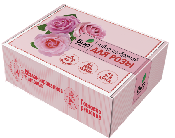 Роза-мокап-изометрия