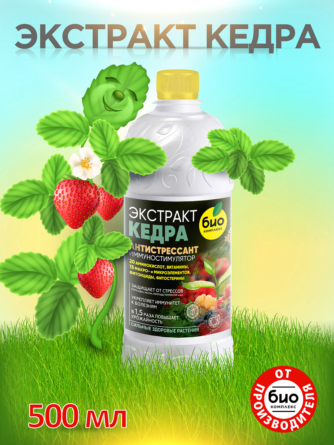 БИО-комплекс Экстракт Кедра