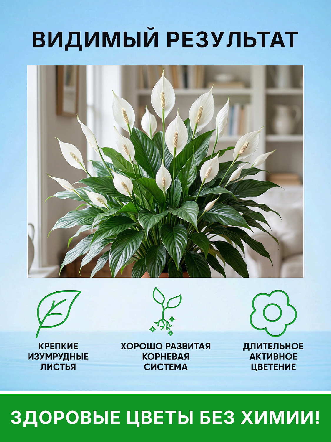 Биококтейль для спатифиллума, комнатный фэншуй ТМ HAPPY