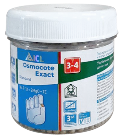 экзакт стандарт 3-4