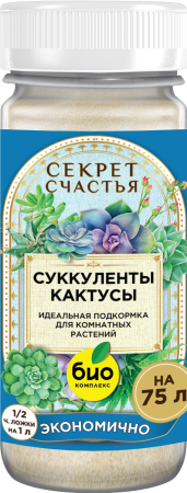 Mockup_Суккуленты_01