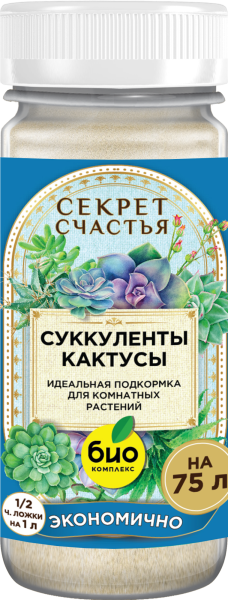 Mockup_Суккуленты_01