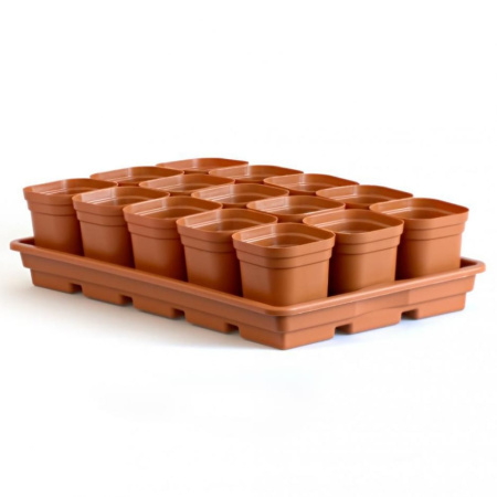 Набор для рассады Сезон 15стак+поддон