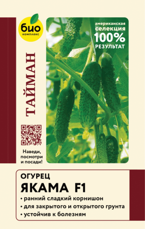 Огурец Якама F1