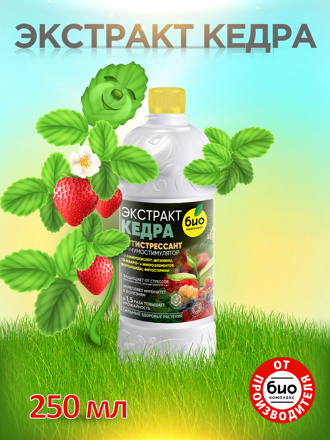 БИО-комплекс Экстракт Кедра
