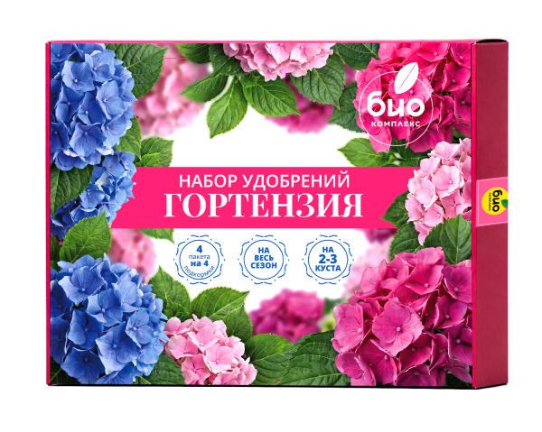 гортензия4