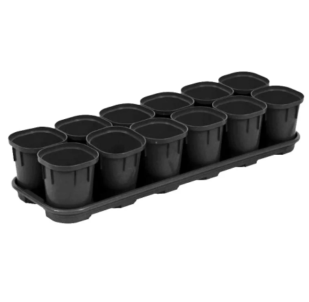 Набор для рассады 6х400мл со съёмным дном, торфяными таблетками, микс (уп.12)