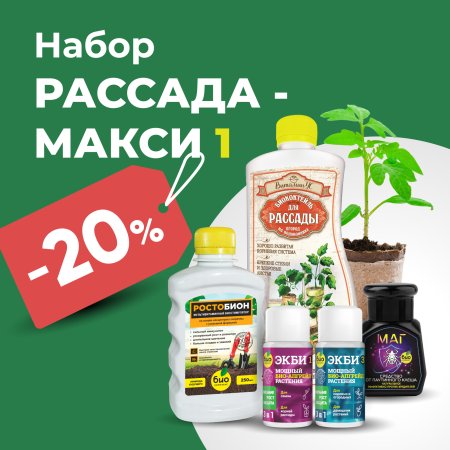 Наборы_рассада-01