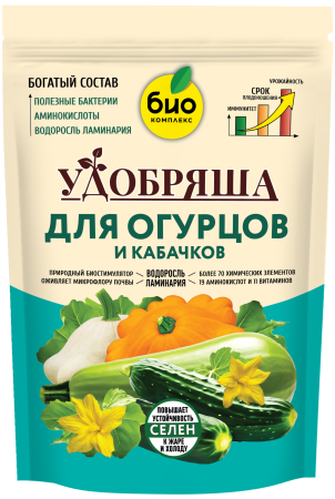 Огурцы_900г_без уголка