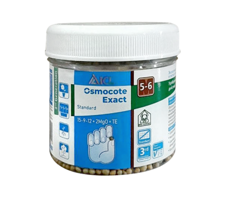 photo_2021-11-10_15-03-04