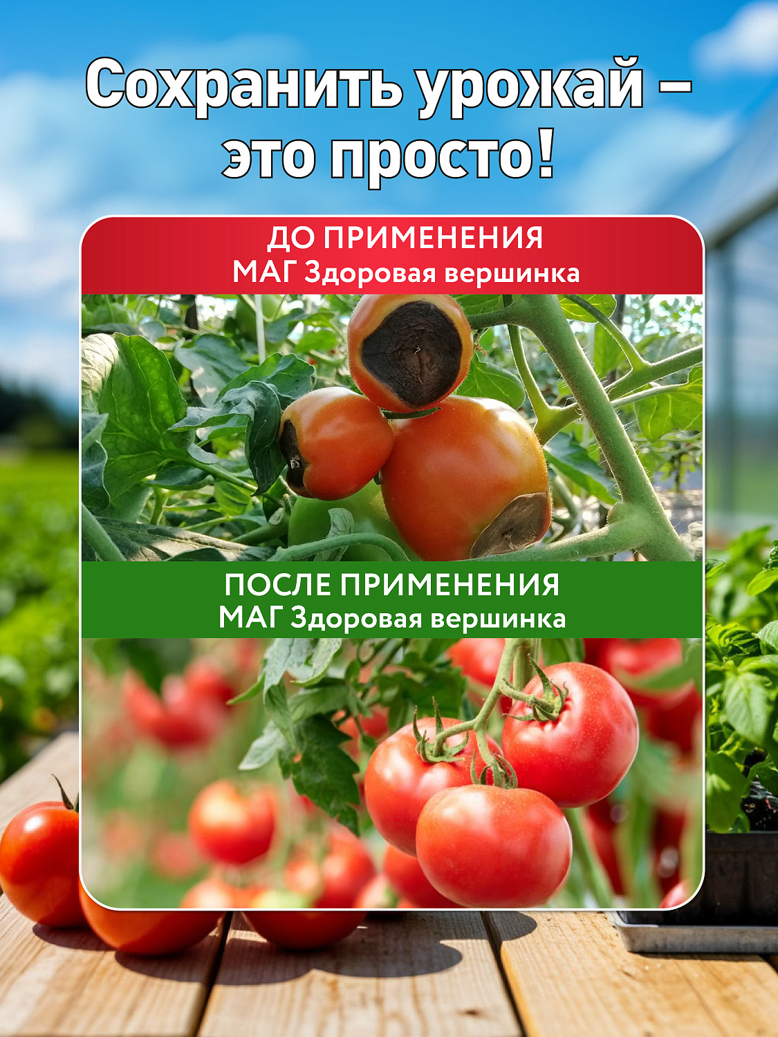 БИО-комплекс Здоровая вершинка, ТМ МАГ, 75 г [16]