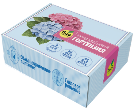 Гортензия-мокап-изометрия