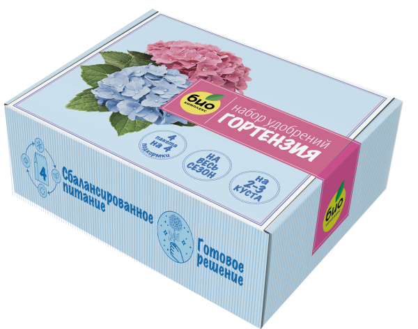 Гортензия-мокап-изометрия