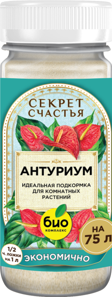 Mockup_Антариум_01