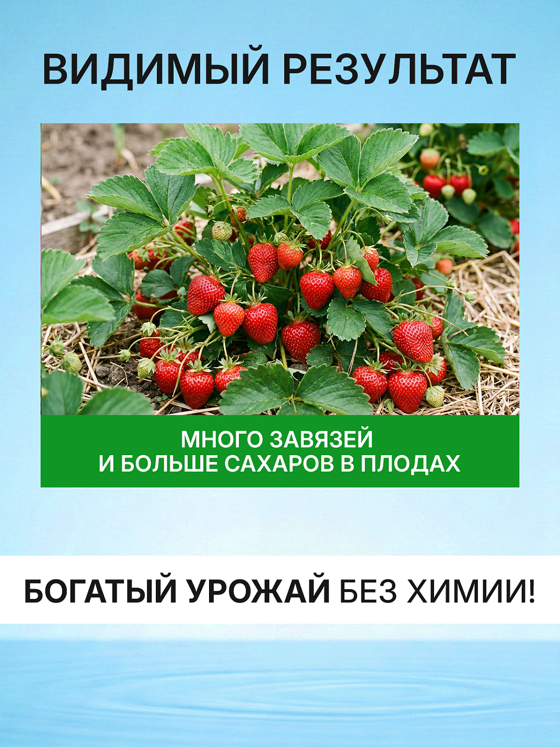 БИОкоктейль для клубники и малины ТМ ВИТАМИНУС
