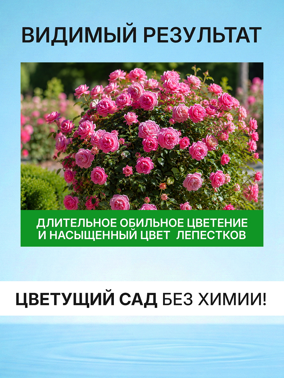 БИОкоктейль для садовых роз ТМ ВИТАМИНУС