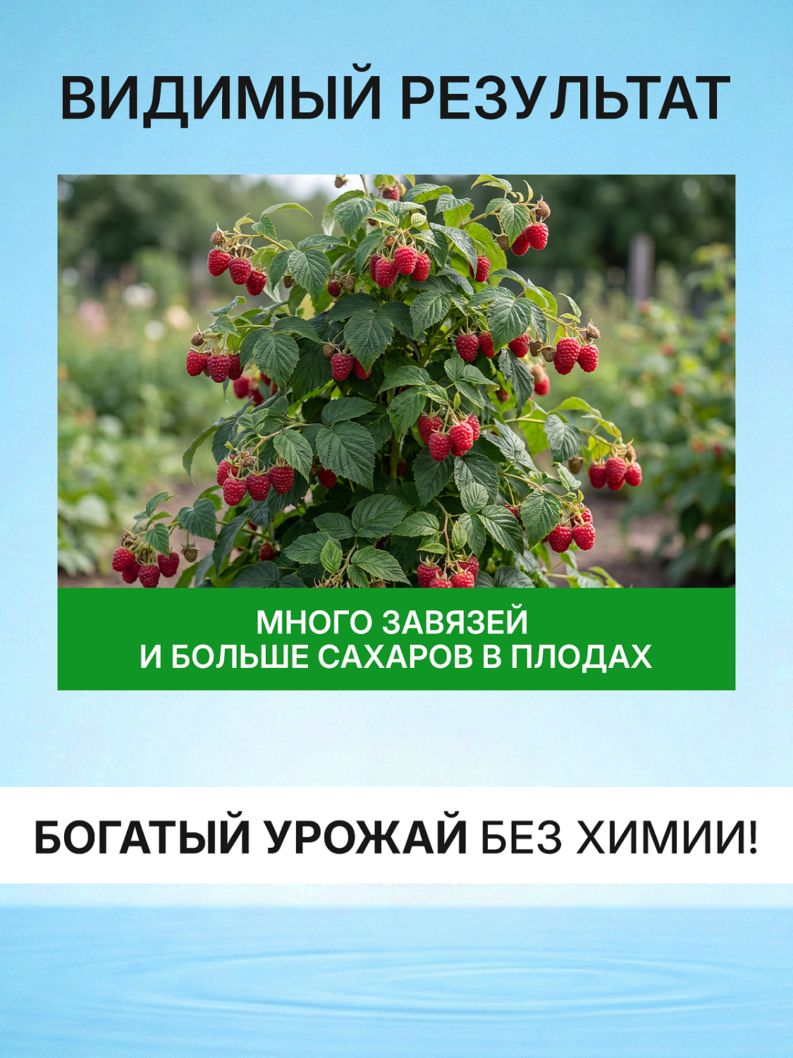 БИОкоктейль для клубники и малины ТМ ВИТАМИНУС